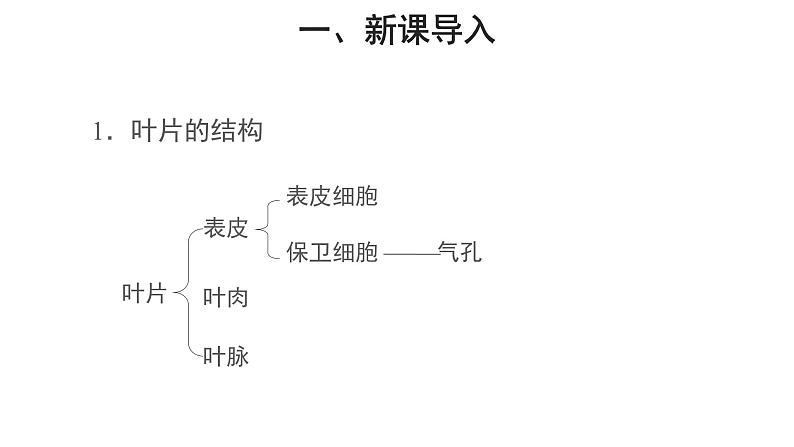 3.3 绿色植物与生物圈的水循环（第2课时） 课件02