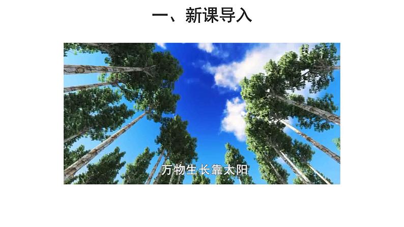 3.4 绿色植物是生物圈中有机物的制造者（第1课时） 课件02