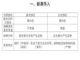 3.4 绿色植物是生物圈中有机物的制造者（第2课时） 课件