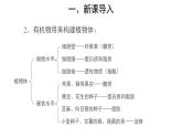 3.5.1 光合作用吸收二氧化碳释放氧气（第1课时） 课件