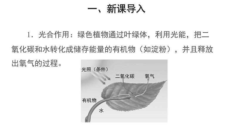 3.5.1 光合作用吸收二氧化碳释放氧气（第2课时） 课件第2页