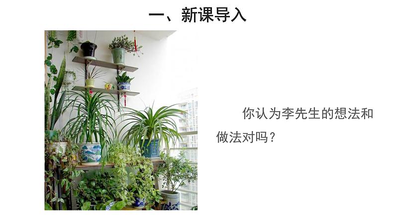 3.5.2 绿色植物的呼吸作用 课件第2页