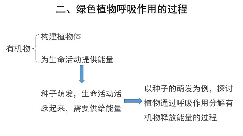 3.5.2 绿色植物的呼吸作用 课件第4页