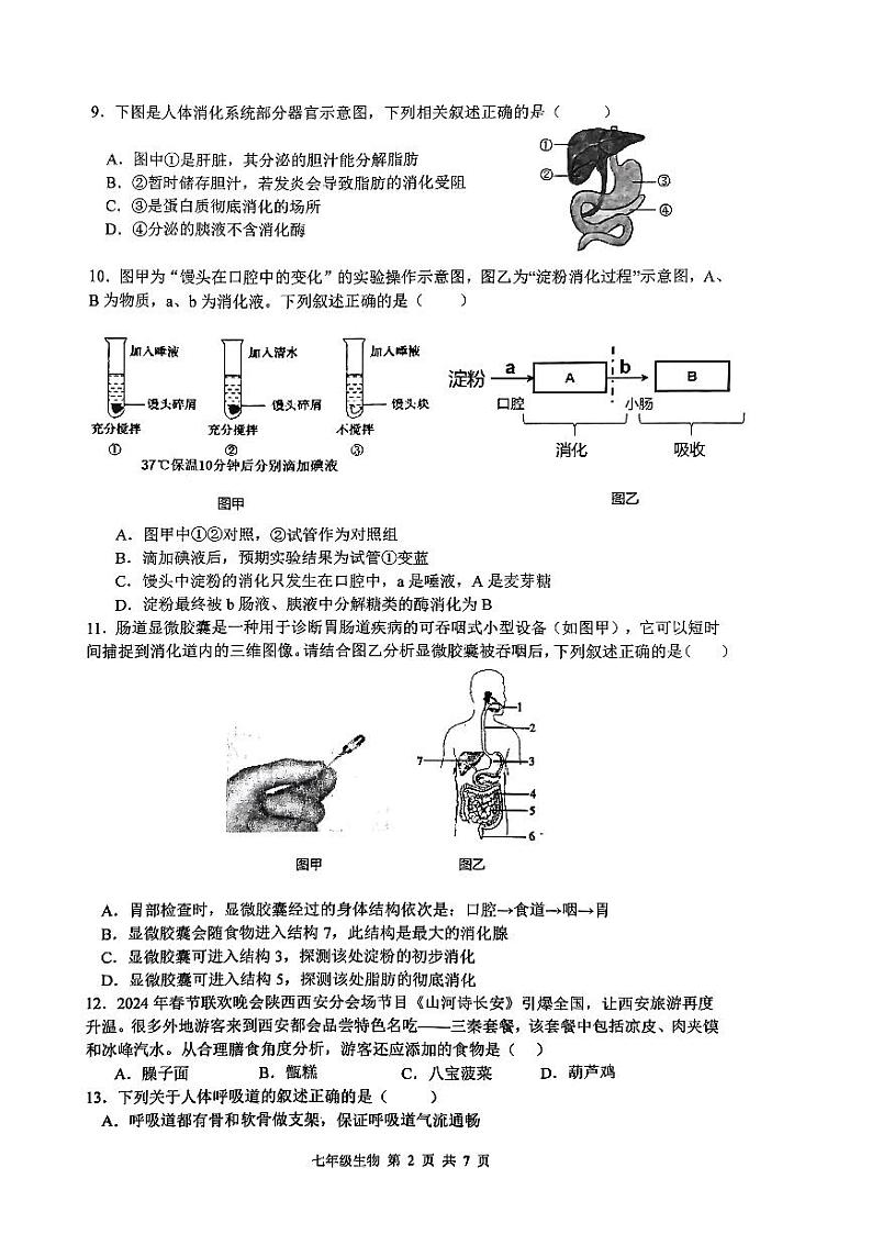 陕西省西安市铁一中学2023-2024学年七年级下学期期中考试生物试卷02