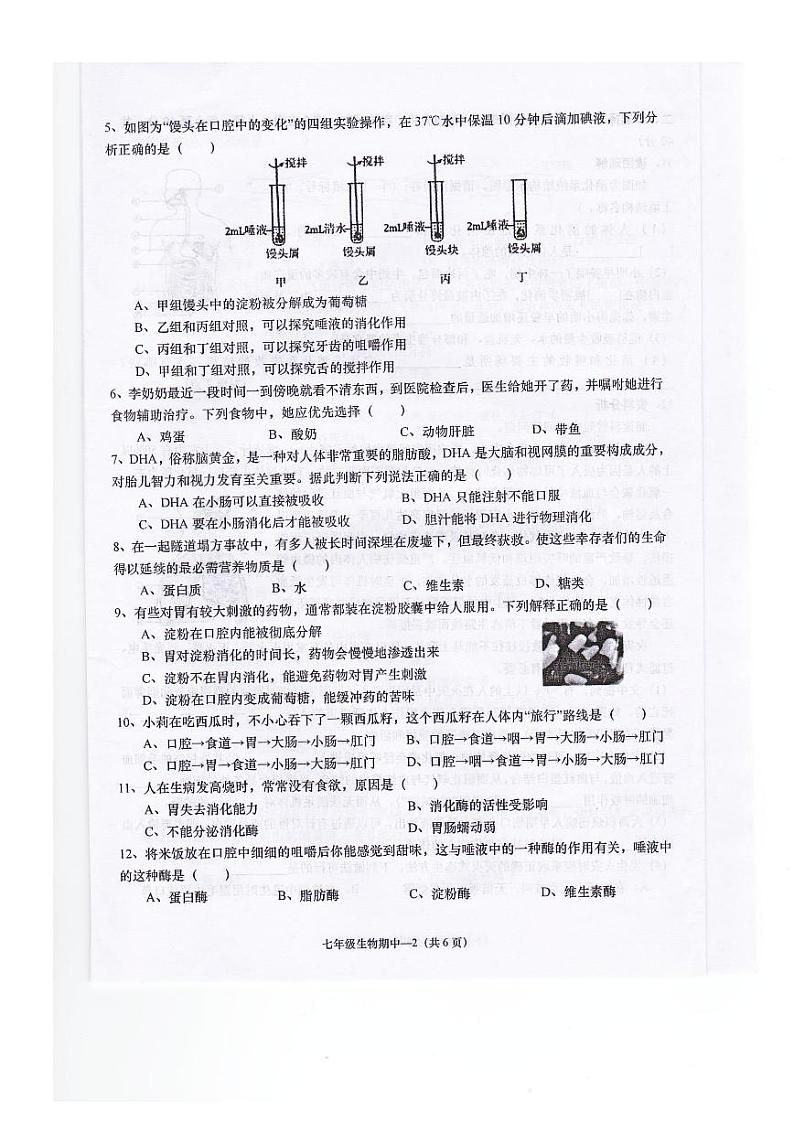 广东省揭阳市惠来县2023-2024学年七年级下学期期中考试生物试卷第2页