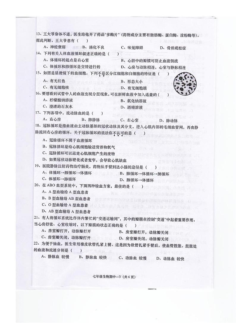 广东省揭阳市惠来县2023-2024学年七年级下学期期中考试生物试卷第3页