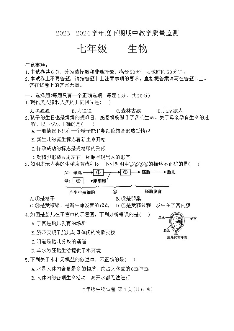 河南省信阳市商城县李集中学2023-2024学年七年级下学期期中教学质量检测生物测试题01