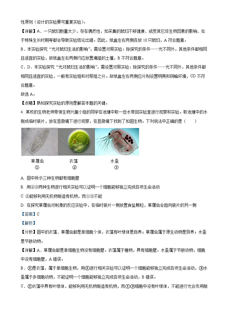 2024年山东省枣庄市山亭区翼云中学初中学业水平模拟考试生物试题（解析版）第3页