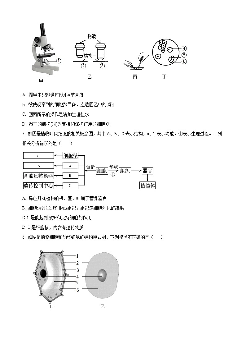山东省临沂市临沭县第三初级中学2023-2024学年八年级下学期第一次月考生物试题（原卷版）第2页