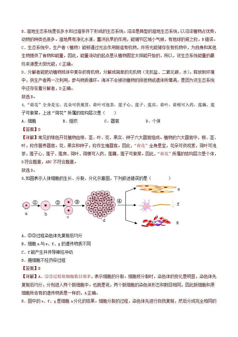 信息必刷卷02（广州专用）（解析版）第3页