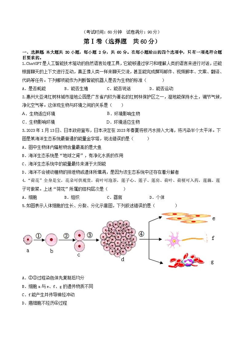 信息必刷卷02（广州专用）（原卷版）第2页