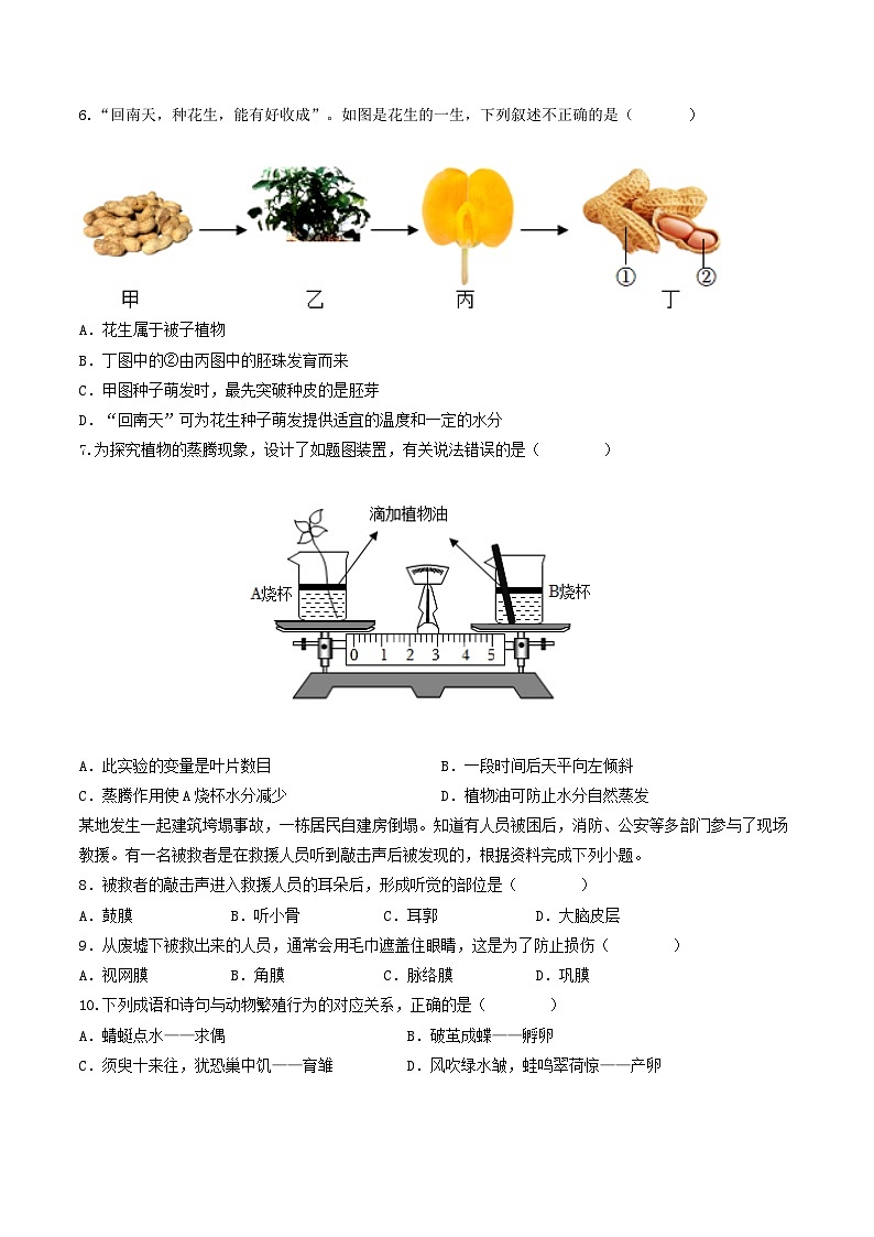 信息必刷卷02（广州专用）（原卷版）第3页