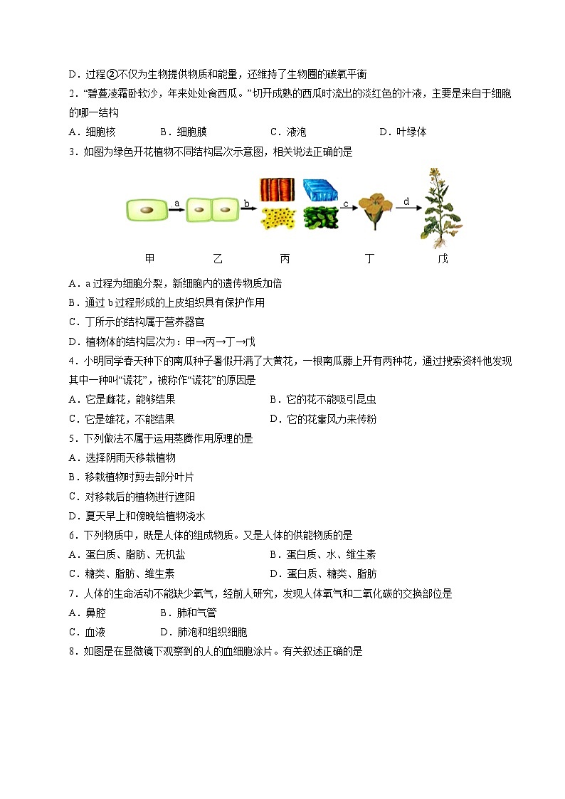 信息必刷卷02（深圳专用）-2024年中考生物考前信息必刷卷02