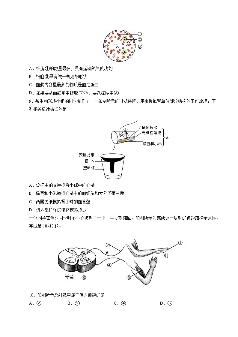 信息必刷卷02（深圳专用）-2024年中考生物考前信息必刷卷03
