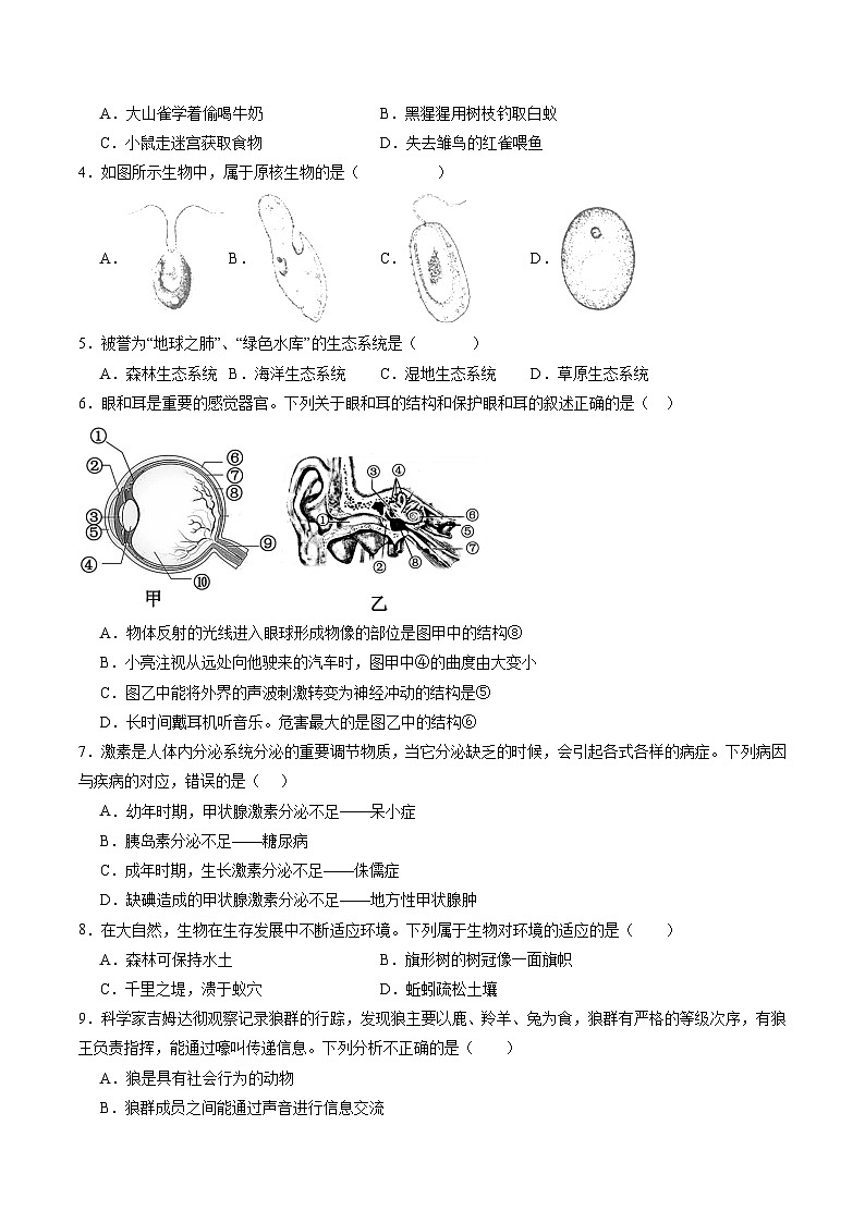 信息必刷卷04（湖南省卷）（原卷版）第2页