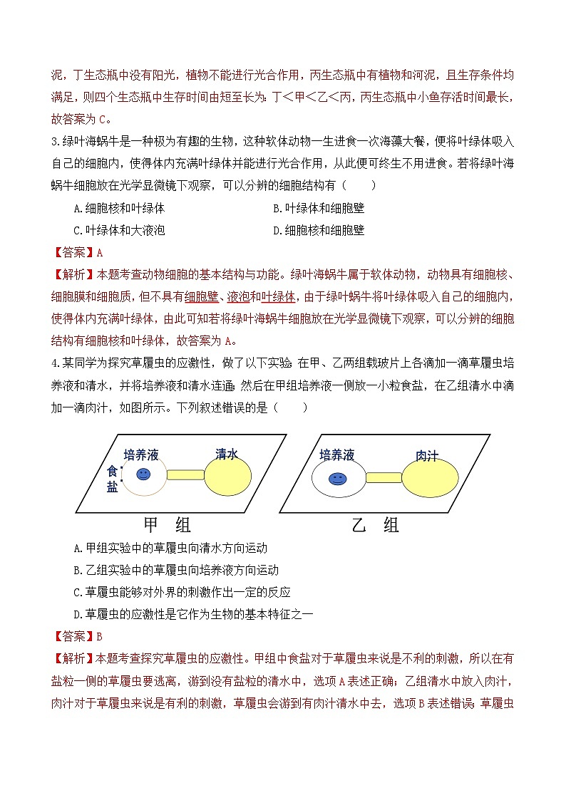 信息必刷卷04（武汉专用）（解析版）第3页
