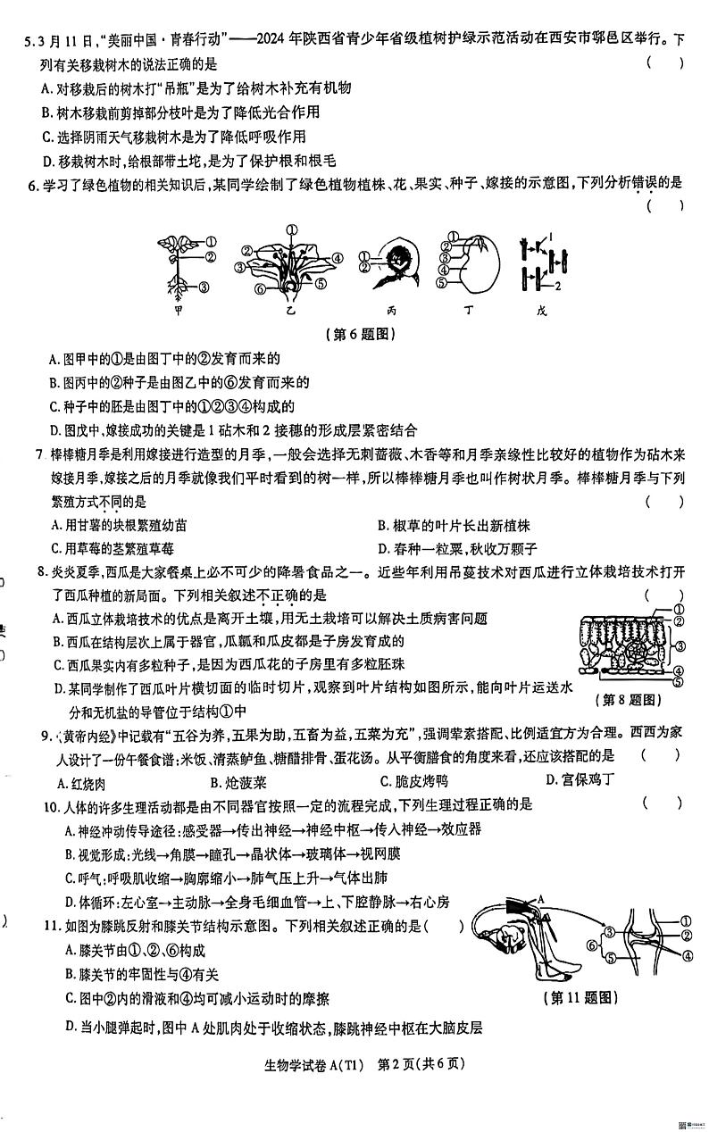 陕西省渭南市某地区2023-2024学年八年级下学期学业水平考试模拟生物试卷02