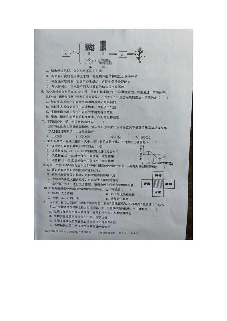 山东省枣庄市台儿庄区2023-2024学年八年级下学期期中考试生物试题第2页