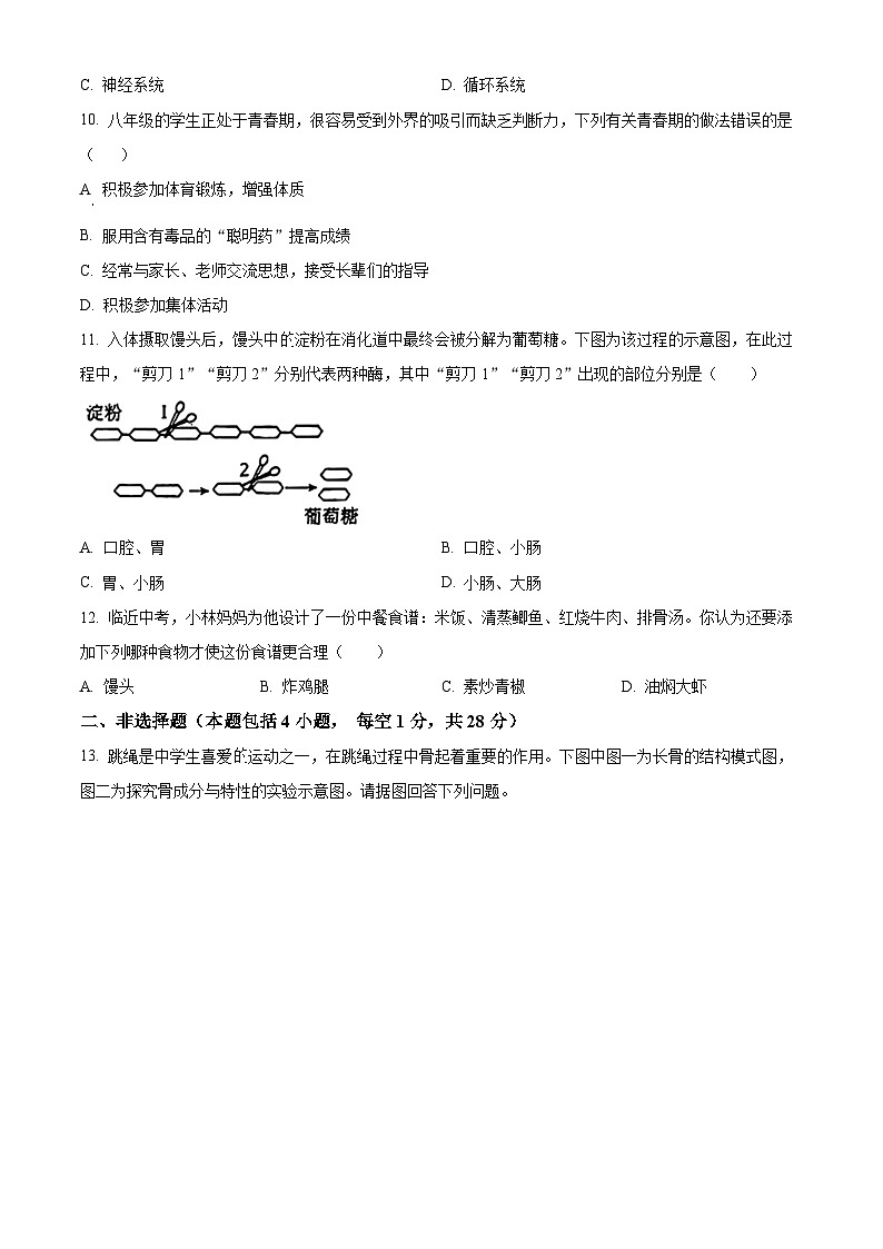 辽宁省鞍山市华育学校2023-2024年七年级下学期4月月考生物试题（原卷版）第2页