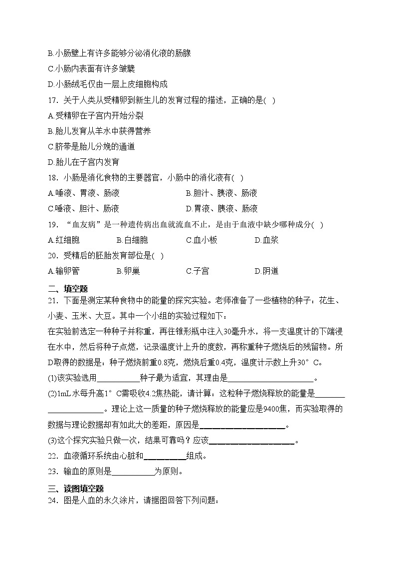 广西南宁市武鸣区2023-2024学年七年级下学期期中考试生物试卷(含答案)第3页