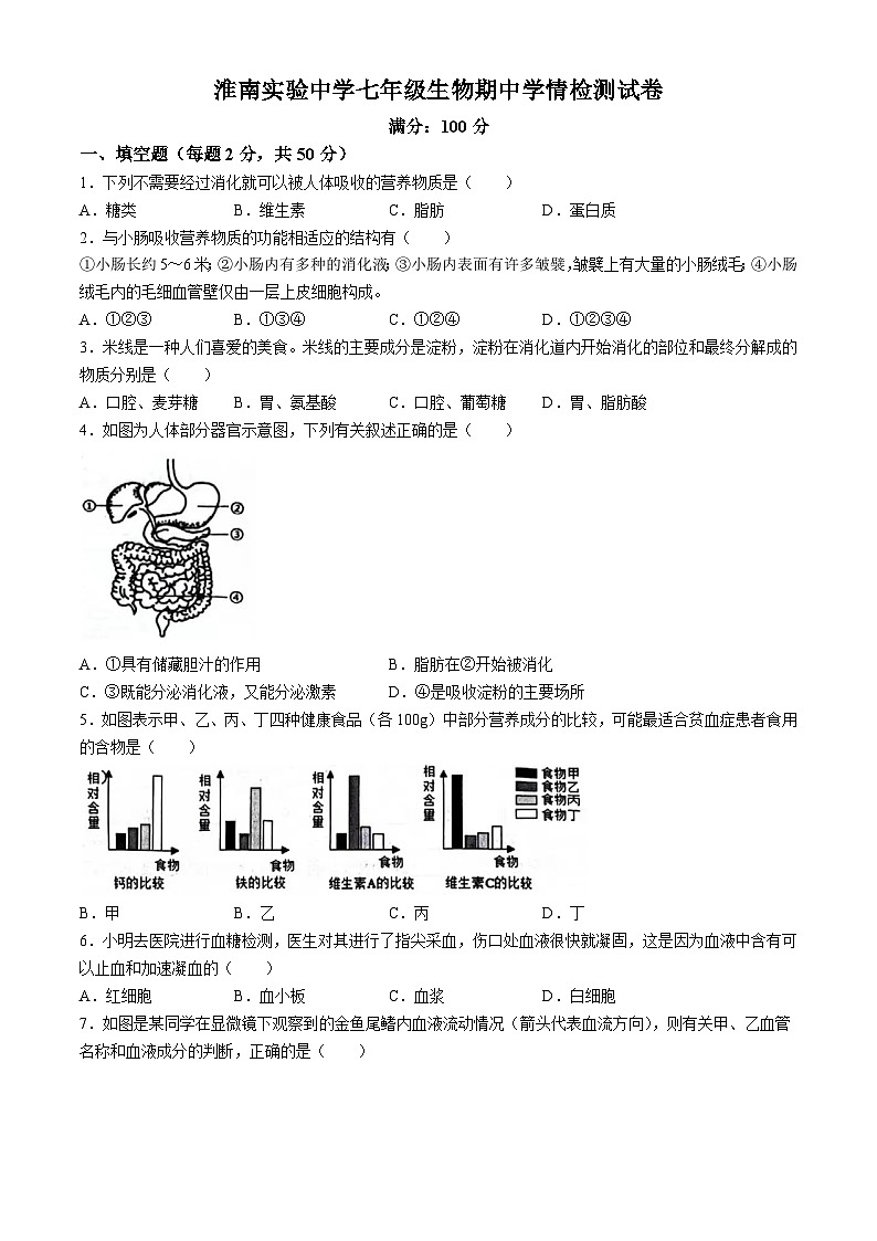 安徽省淮南市淮南实验中学2023_2024学年七年级下学期期中生物学情检测试卷01