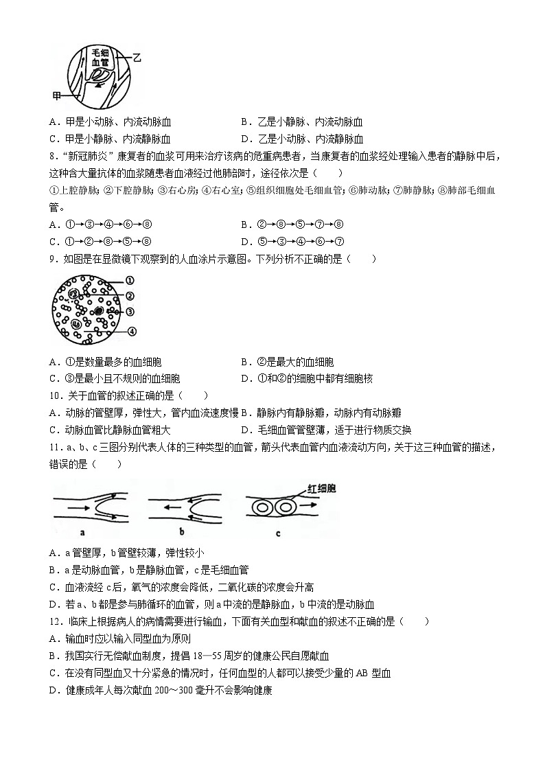 安徽省淮南市淮南实验中学2023_2024学年七年级下学期期中生物学情检测试卷02