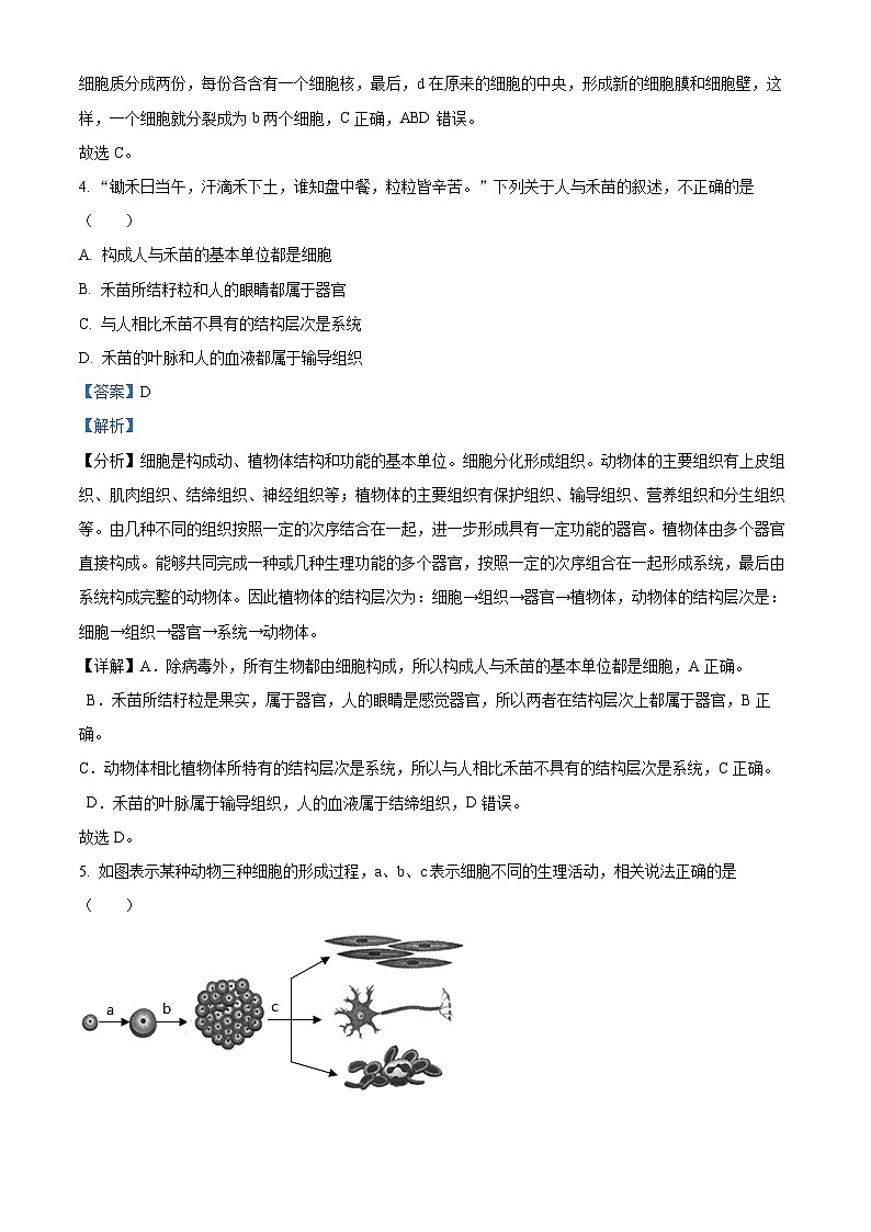 2024年山东省济宁市泗水县中考一模生物试题（原卷版+解析版）03
