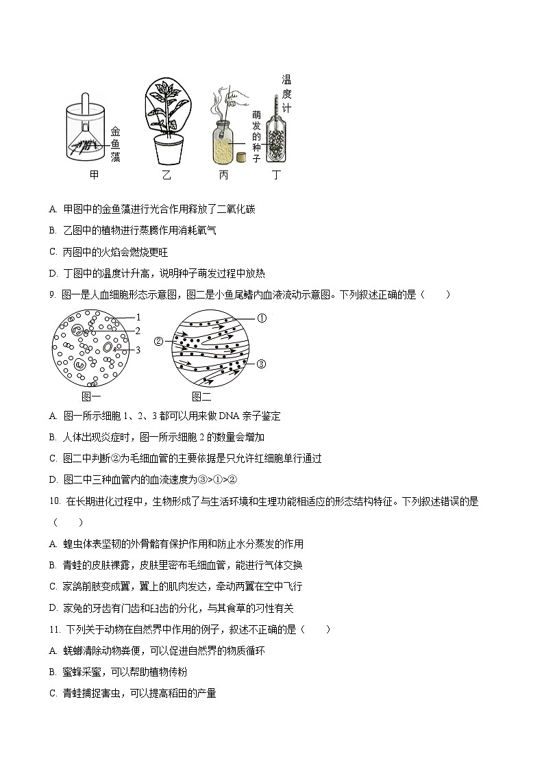 2024年山东省济宁市泗水县中考一模生物试题（原卷版+解析版）03