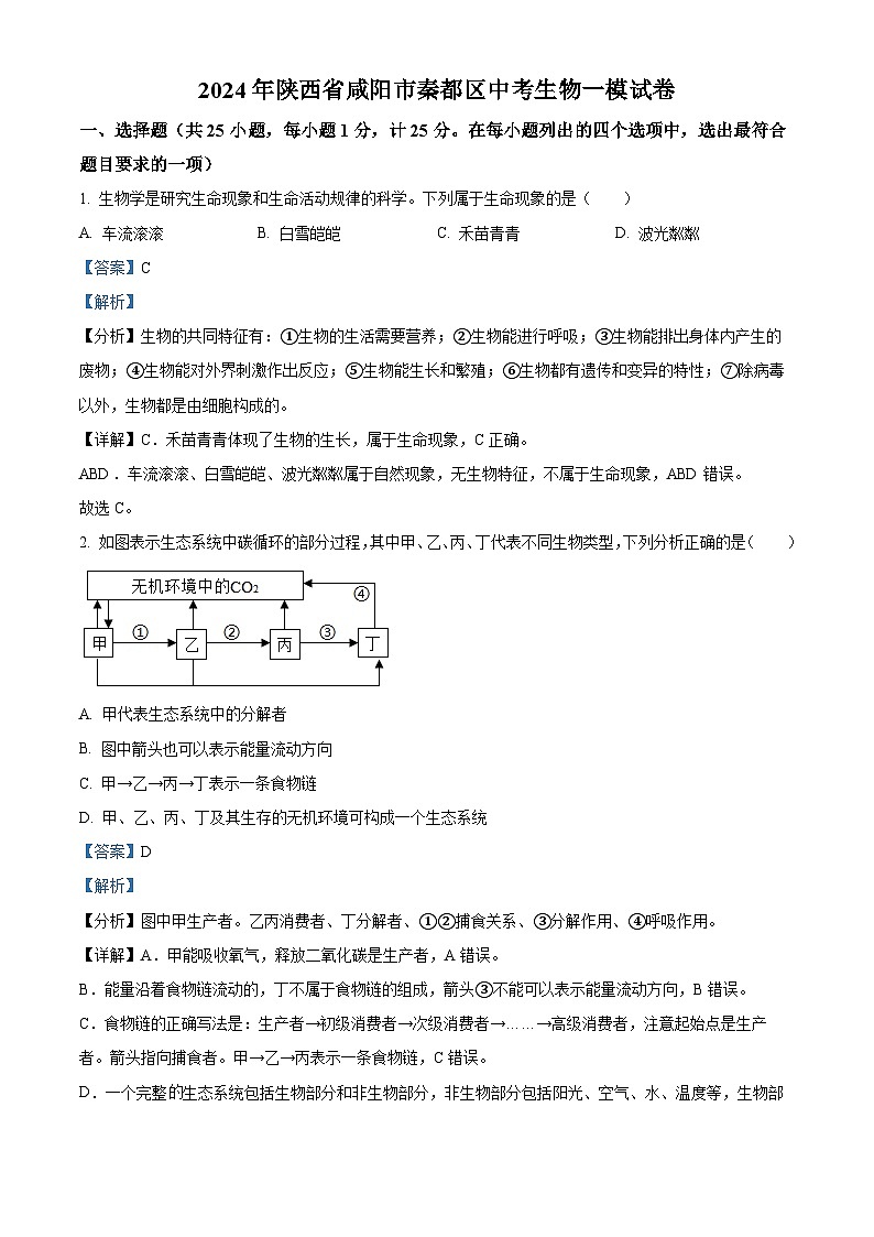 2024年陕西省咸阳市秦都区中考一模生物试题（原卷版+解析版）01