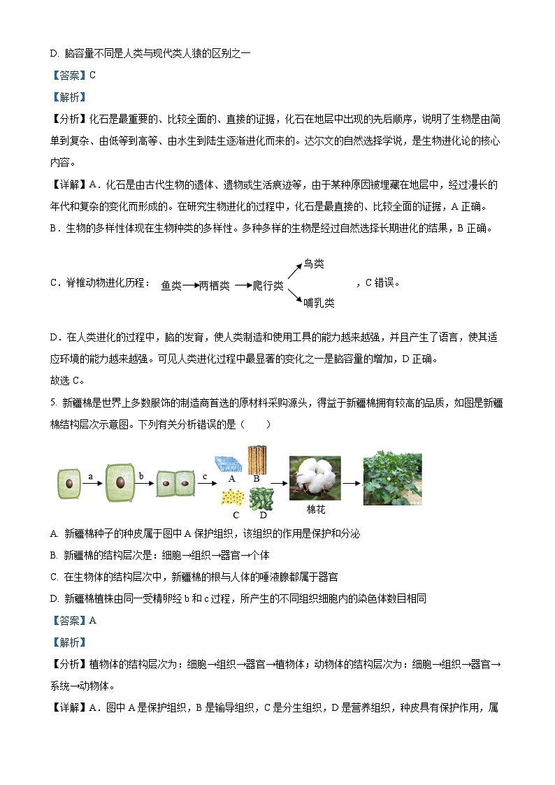 辽宁省兴城市第二初级中学2023-2024学年八年级下学期第一次月考生物试题（原卷版+解析版）03