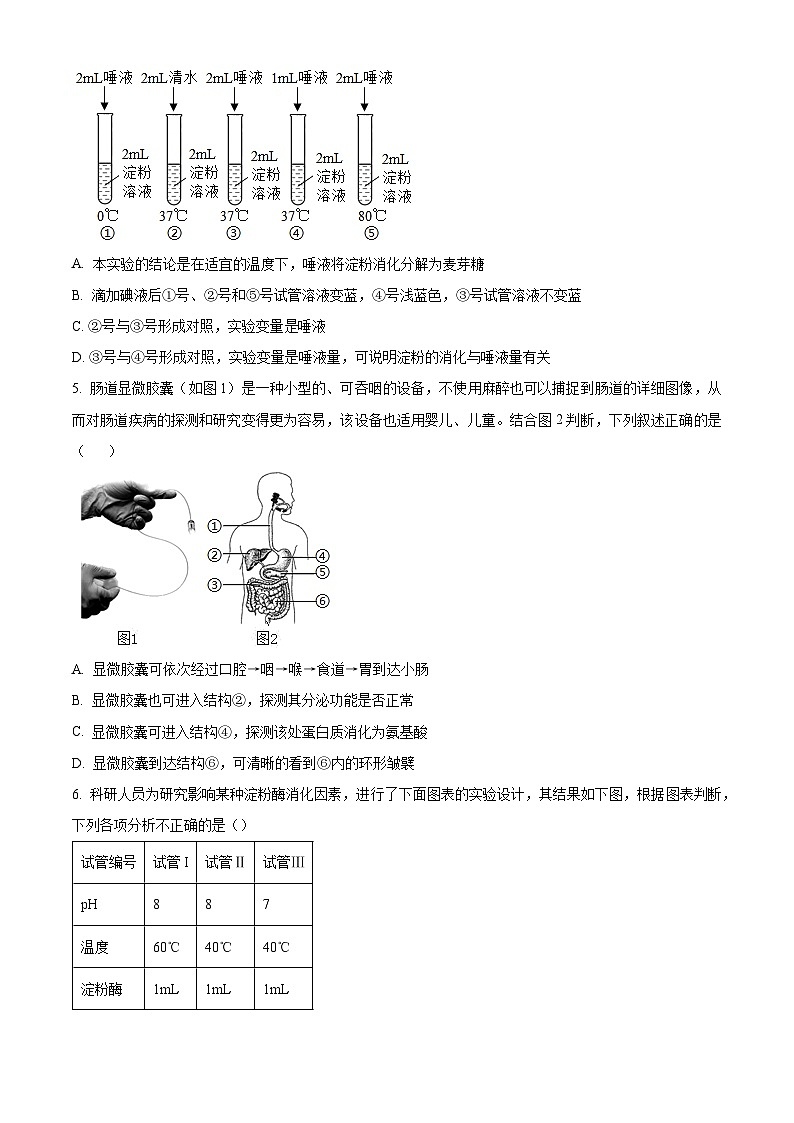 山东省诸城市实验初级中学2023-2024学年七年级下学期3月月考生物试题（原卷版+解析版）02