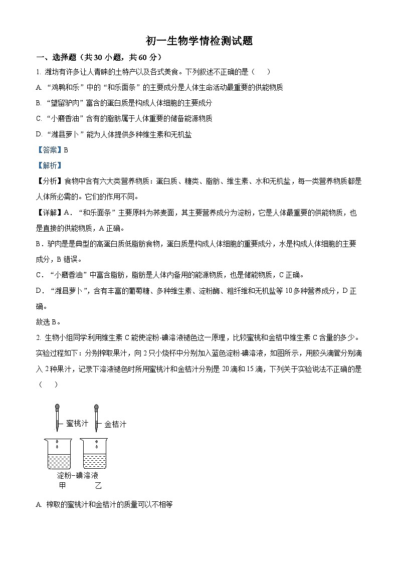 山东省诸城市实验初级中学2023-2024学年七年级下学期3月月考生物试题（原卷版+解析版）01