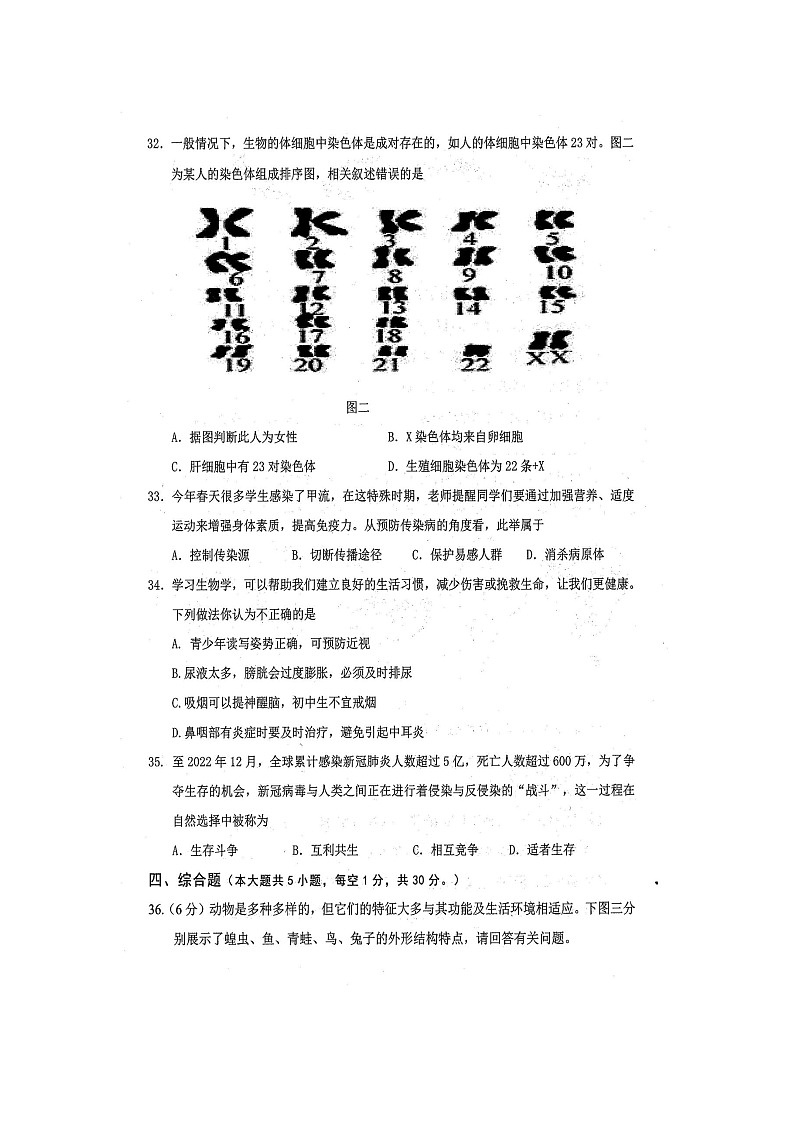 2024年春广西中考模拟联考生物试题（扫描版含答案）第3页