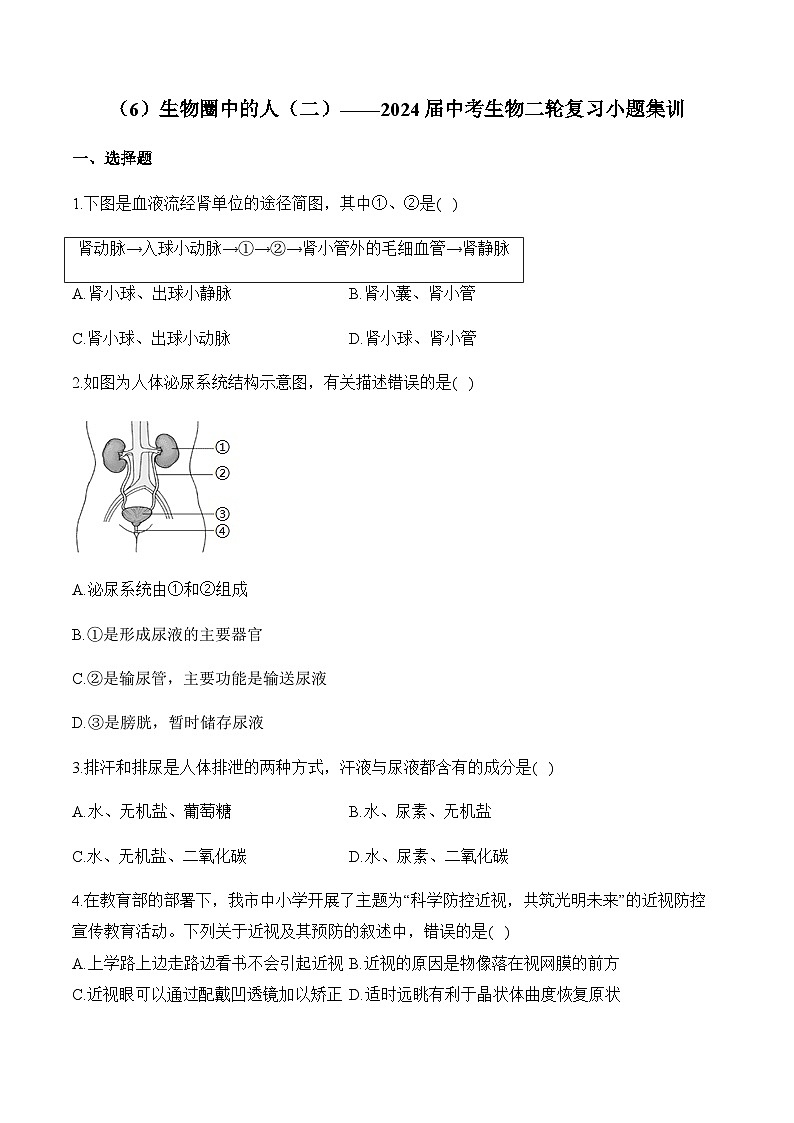 （6）生物圈中的人（二）——2024届中考生物一轮复习小题集训第1页
