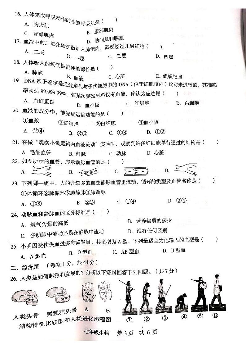 广西桂林市2023-2024学年七年级下学期期中考试生物试卷03