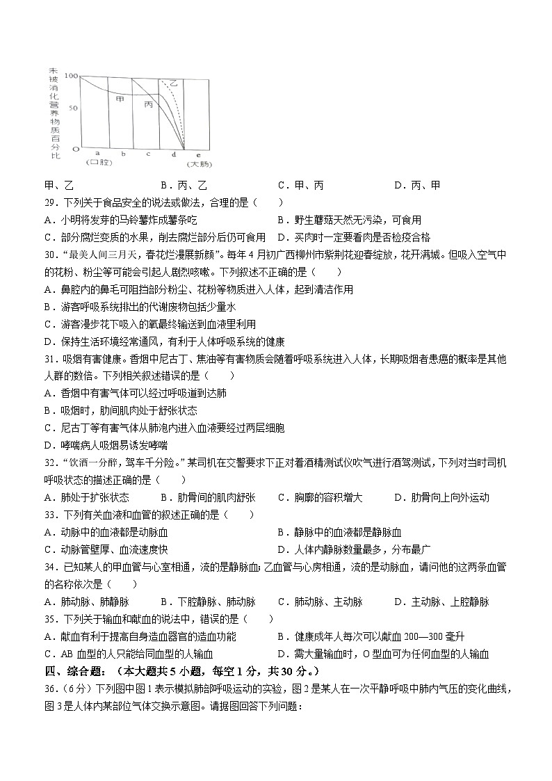 广西玉林市博白县2023-2024学年七年级下学期期中教学质量监测生物试卷02