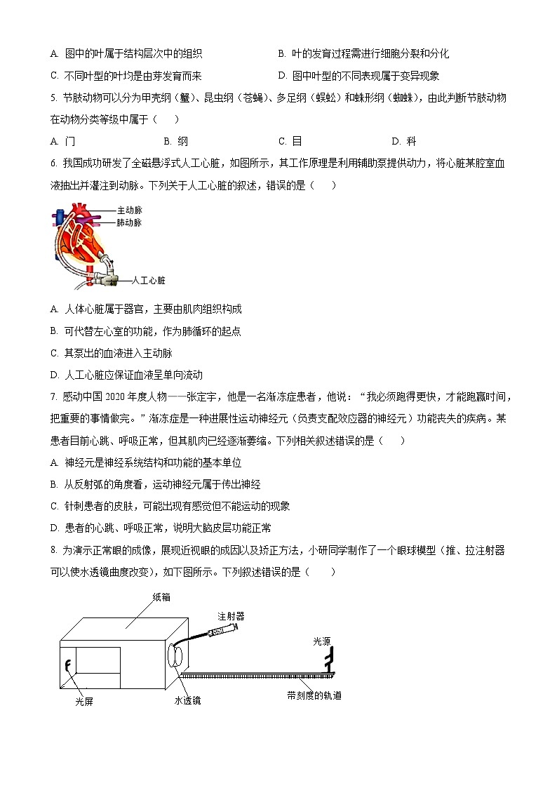 2024年江苏省启东市八年级中考一模生物试题（原卷版+解析版）02