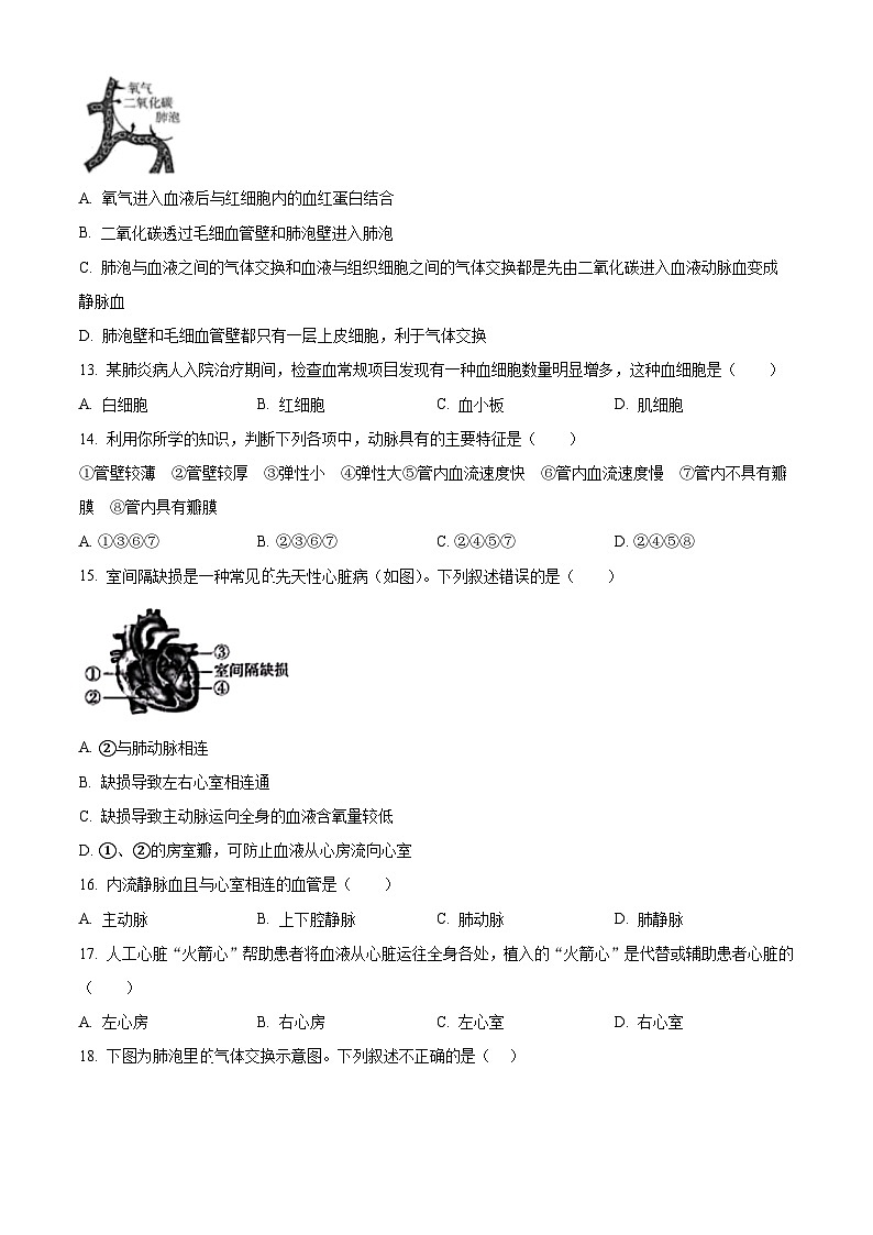 河南省驻马店市泌阳县2023-2024学年七年级下学期期中生物试题（原卷版）第3页