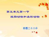 5.1.1腔肠动物和扁形动物课件 2023--2024学年人教版生物八年级上册
