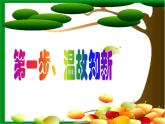 5.1.1腔肠动物和扁形动物课件 2023--2024学年人教版生物八年级上册