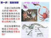 5.1.1腔肠动物和扁形动物课件 2023--2024学年人教版生物八年级上册
