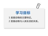5.1.1  腔肠动物和扁形动物  （第1课时）课件2023_2024学年人教版生物八年级上册