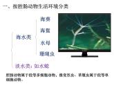 5.1.1  腔肠动物和扁形动物  （第1课时）课件2023_2024学年人教版生物八年级上册