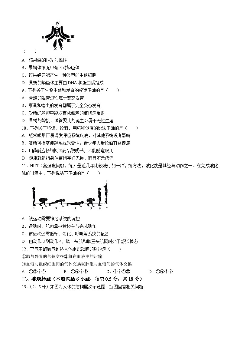 2024年辽宁省沈阳市初中学业水平考试模拟试题（一）生物学试题第2页