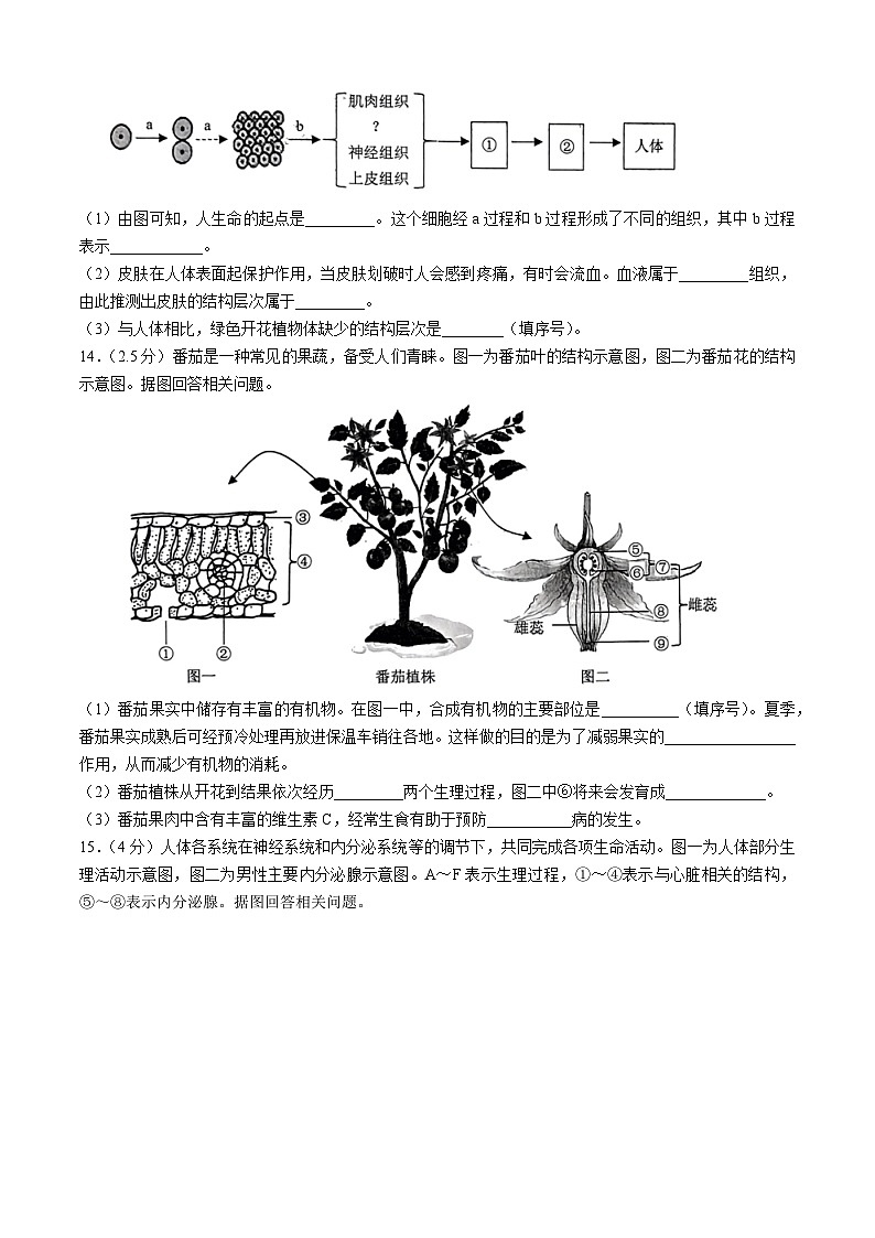 2024年辽宁省沈阳市初中学业水平考试模拟试题（一）生物学试题第3页