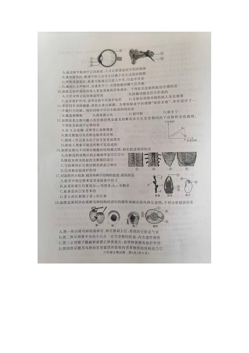 山东省济宁市曲阜市2023-2024学年八年级下学期期中生物试题03