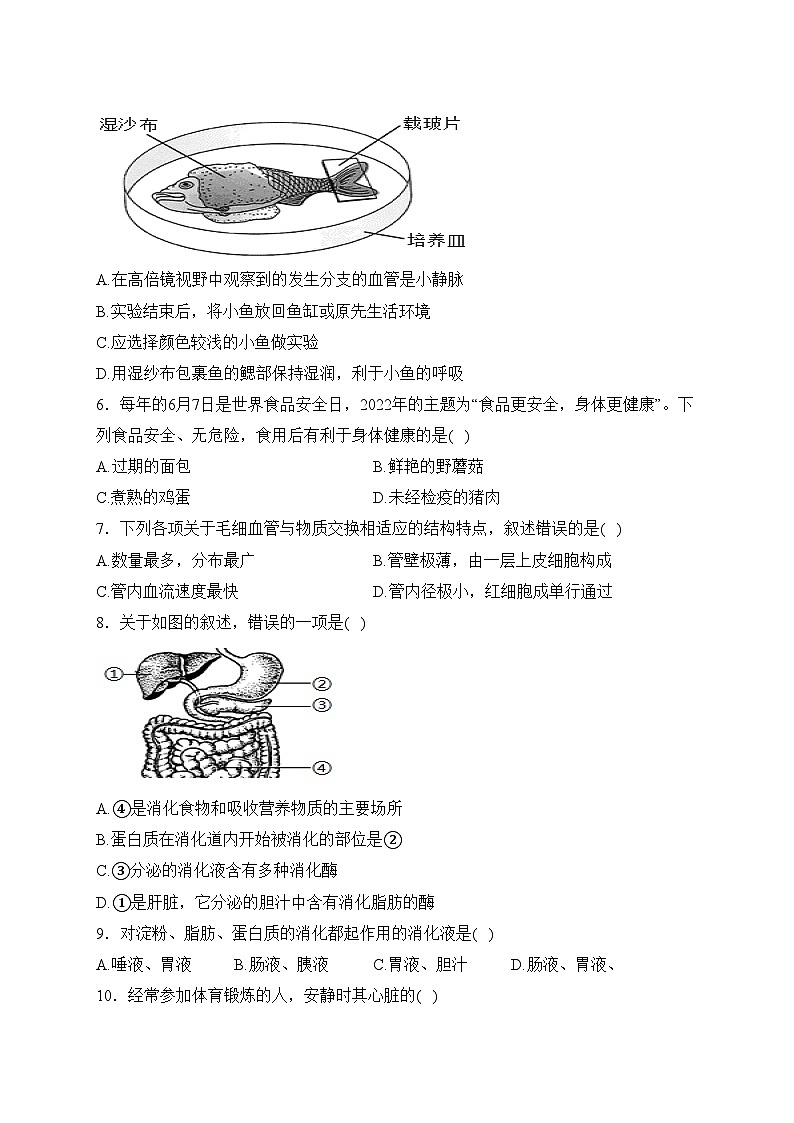江西丰城中学2023-2024学年七年级下学期3月月考生物试卷(含答案)第2页