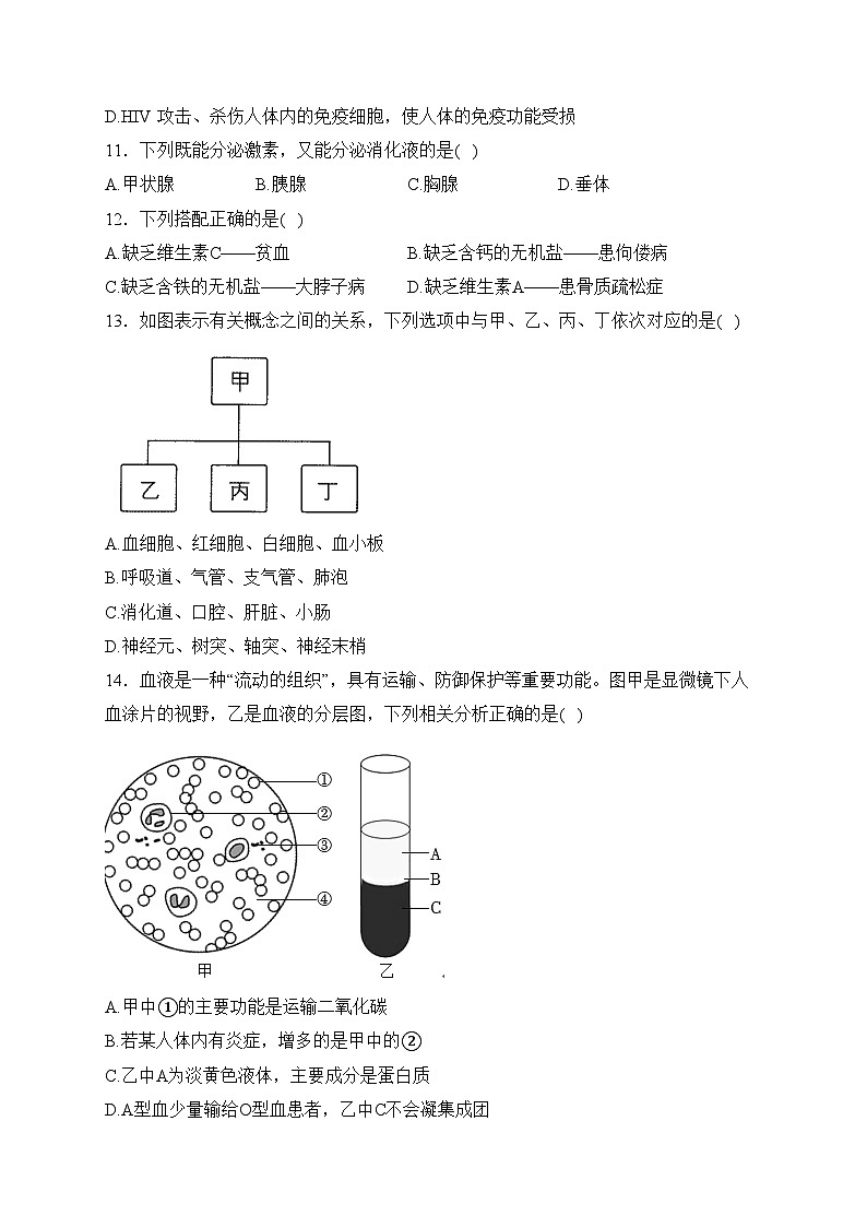 江西省瑞金第一中学、丰城第九中学联考2022-2023学年七年级下学期期末考试生物试卷(含答案)第3页
