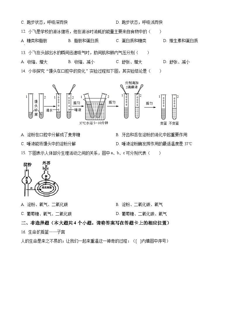 山西省太原市2023-2024学年七年级下学期期中生物试题（原卷版）第3页
