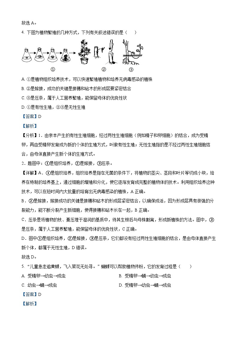 河北省邢台市五校联考2023-2024学年八年级下学期期中生物试题（原卷版+解析版）03